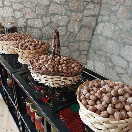 Vila Rira - Rrajce, Shebenik Perrenjas Екстериор снимка