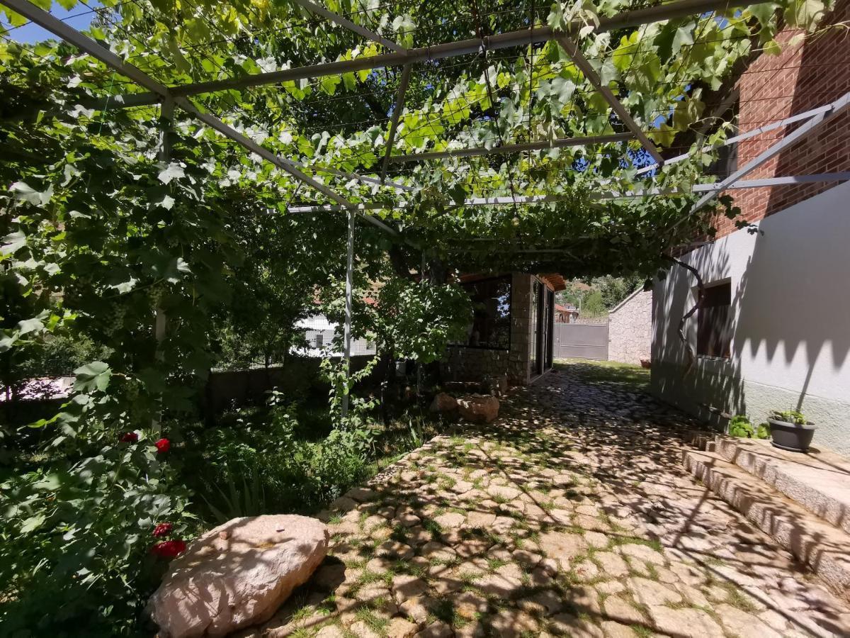 Vila Rira - Rrajce, Shebenik Perrenjas Екстериор снимка