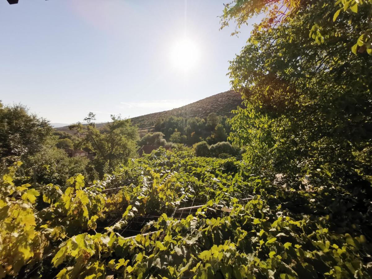 Vila Rira - Rrajce, Shebenik Perrenjas Екстериор снимка