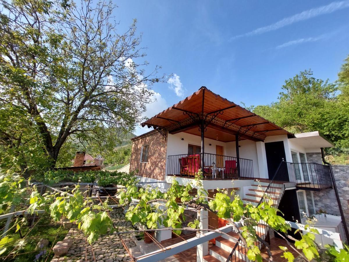 Vila Rira - Rrajce, Shebenik Perrenjas Екстериор снимка