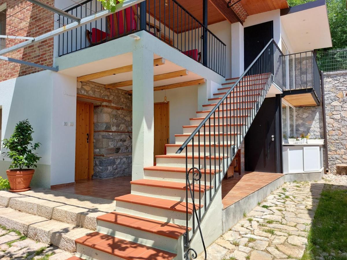 Vila Rira - Rrajce, Shebenik Perrenjas Екстериор снимка