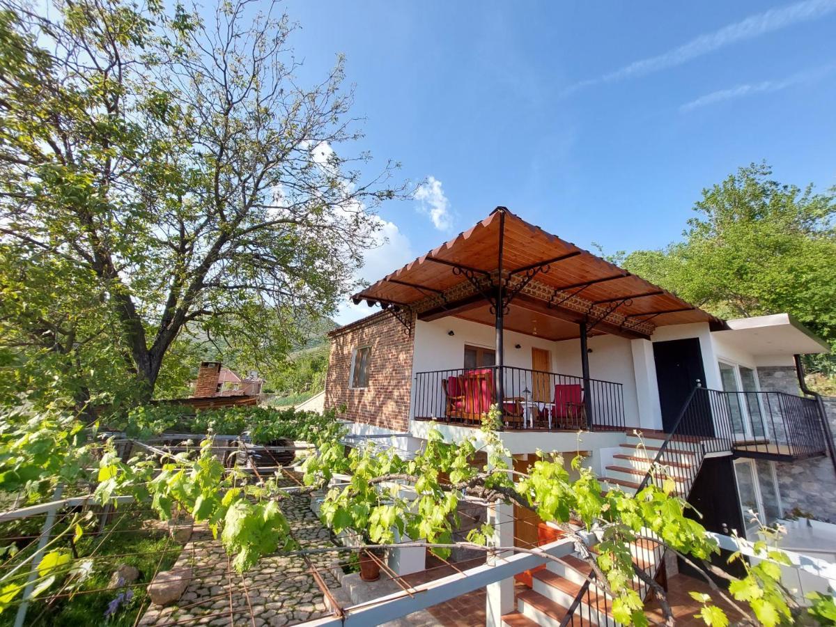 Vila Rira - Rrajce, Shebenik Perrenjas Екстериор снимка